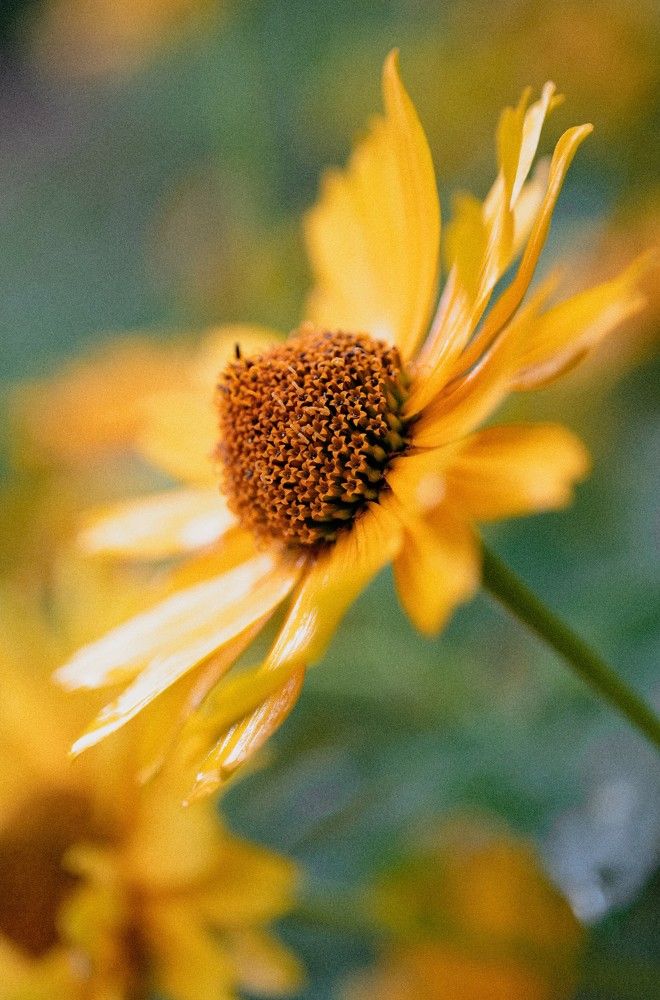 Photograph by Татьяна