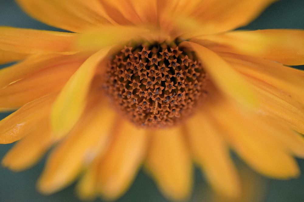 Photograph by Татьяна