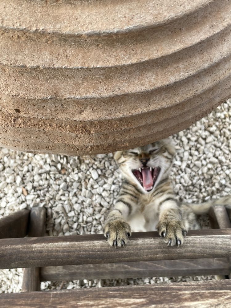 Photograph by Юлия Давшан