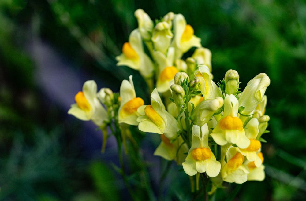 Photograph by Бабицын Алексей