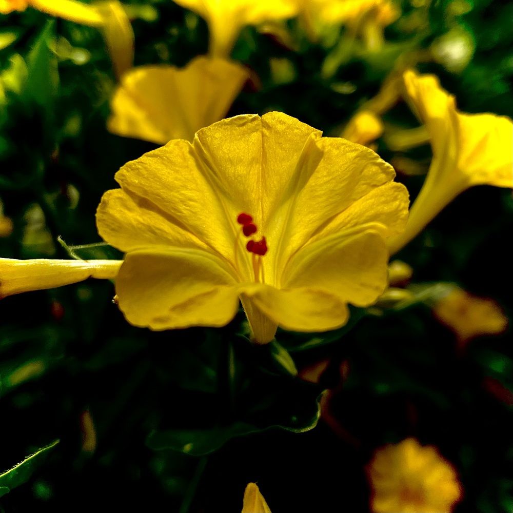 Photograph by Марина Козлова