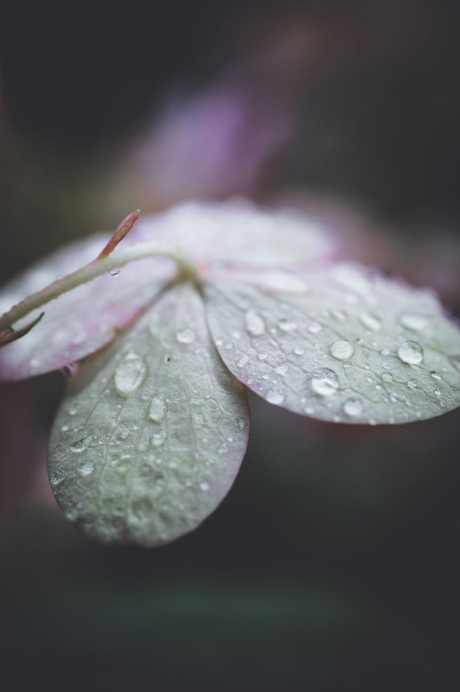 Photograph by Татьяна Ефимова