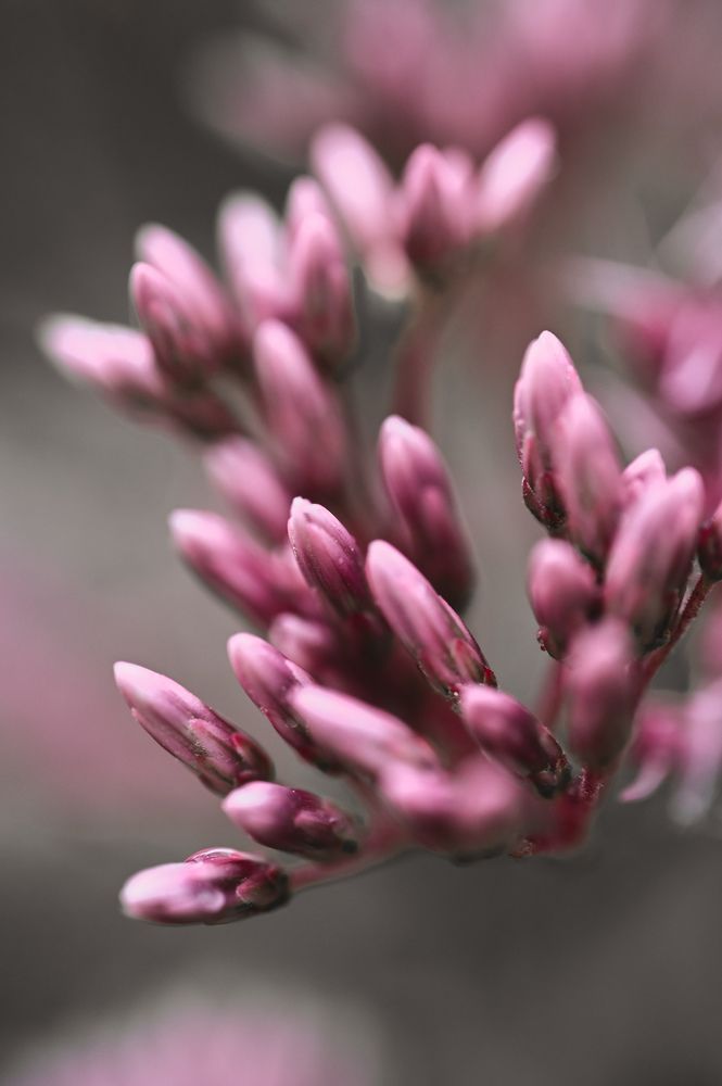 Photograph by Татьяна Ефимова