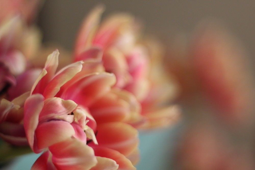 Photograph by Наталья Резванова