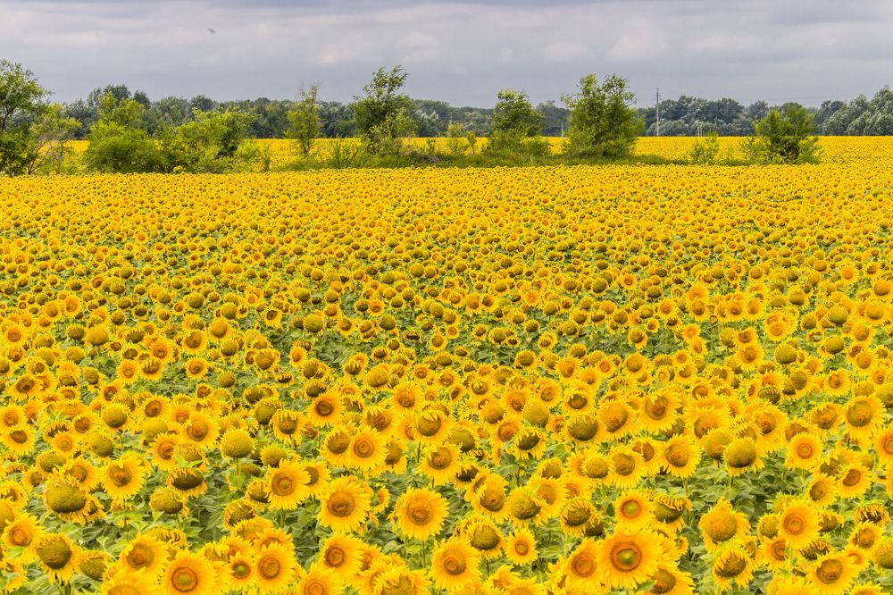 Photograph by Sergey Paramonov