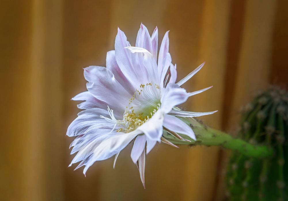 Photograph by Марина Ческис