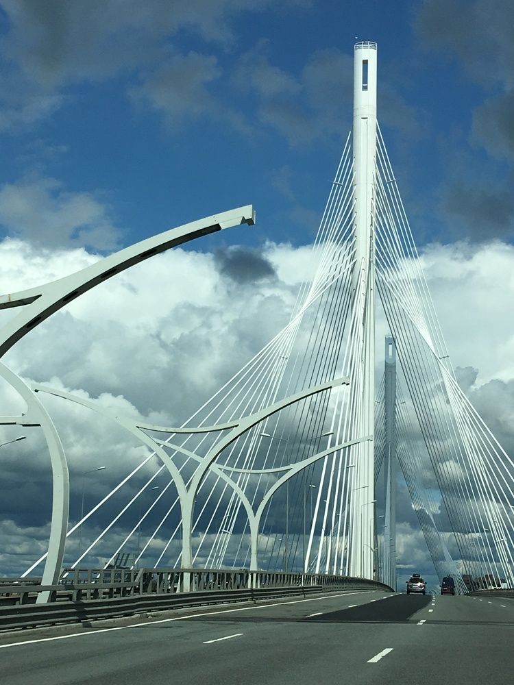 Мост через Петровский фарватер.