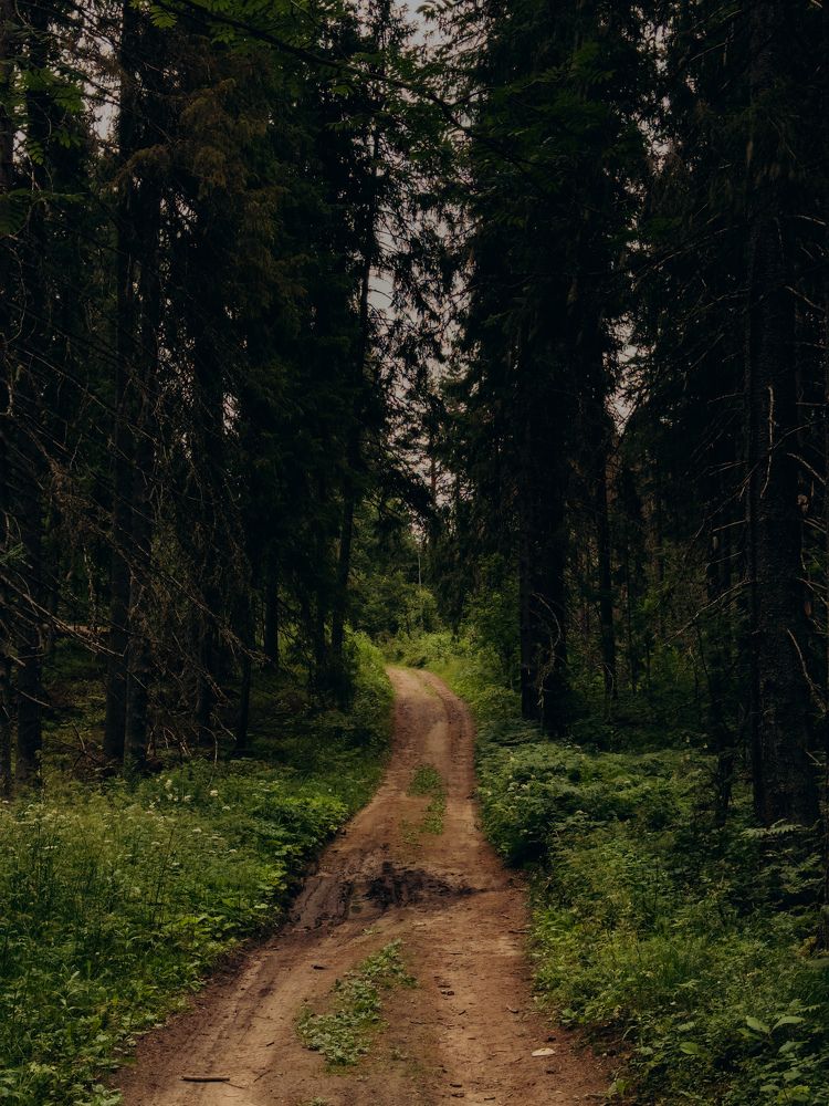 Photograph by Алиса Нежинская