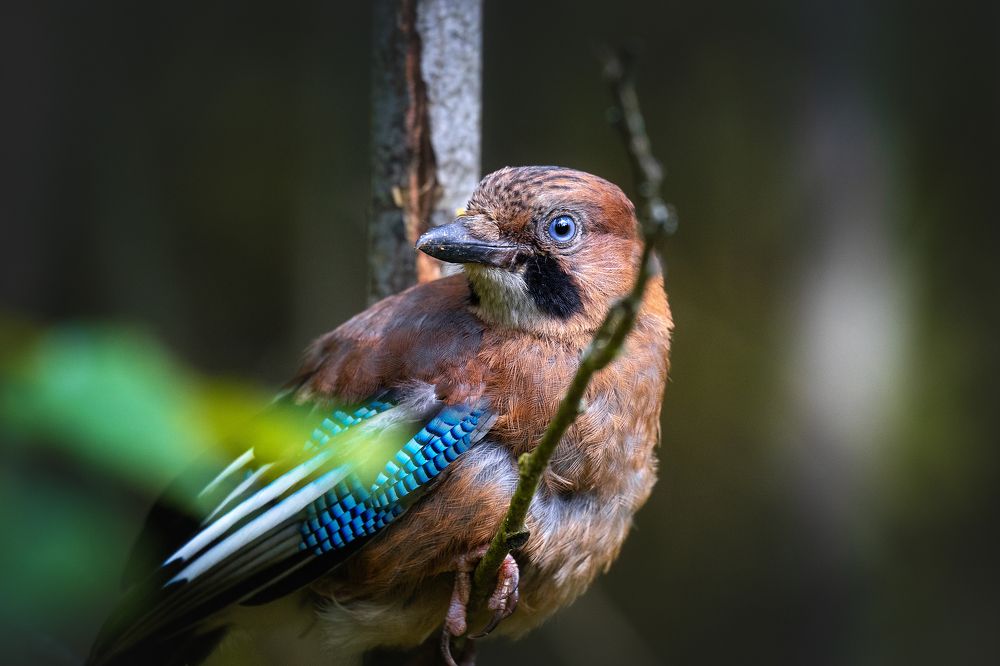 Photograph by Александр Соловьев