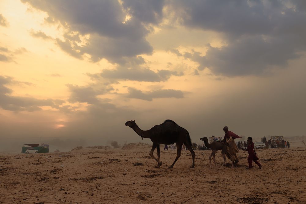 Фотография автора Awais Akram