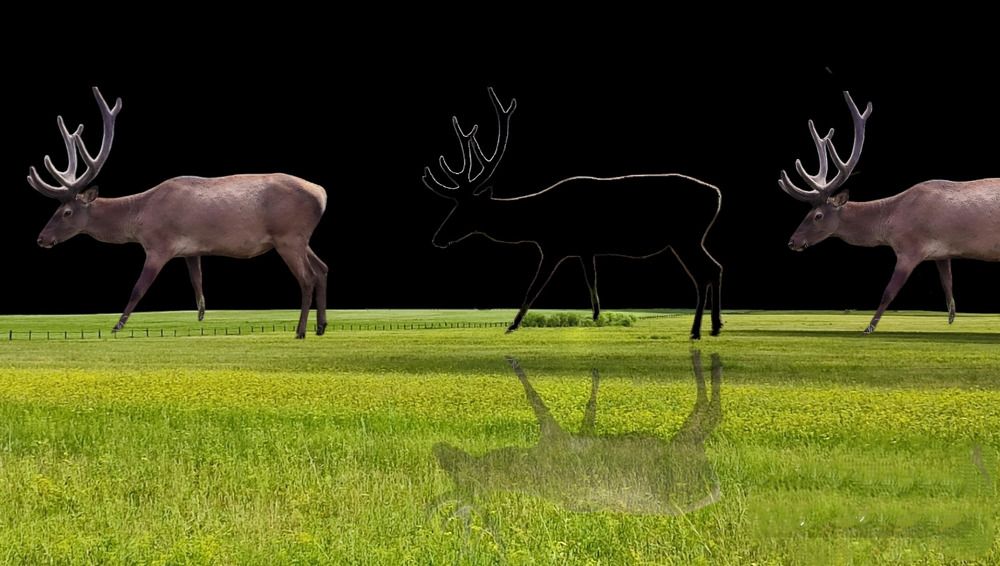 Photograph by Selina Marina