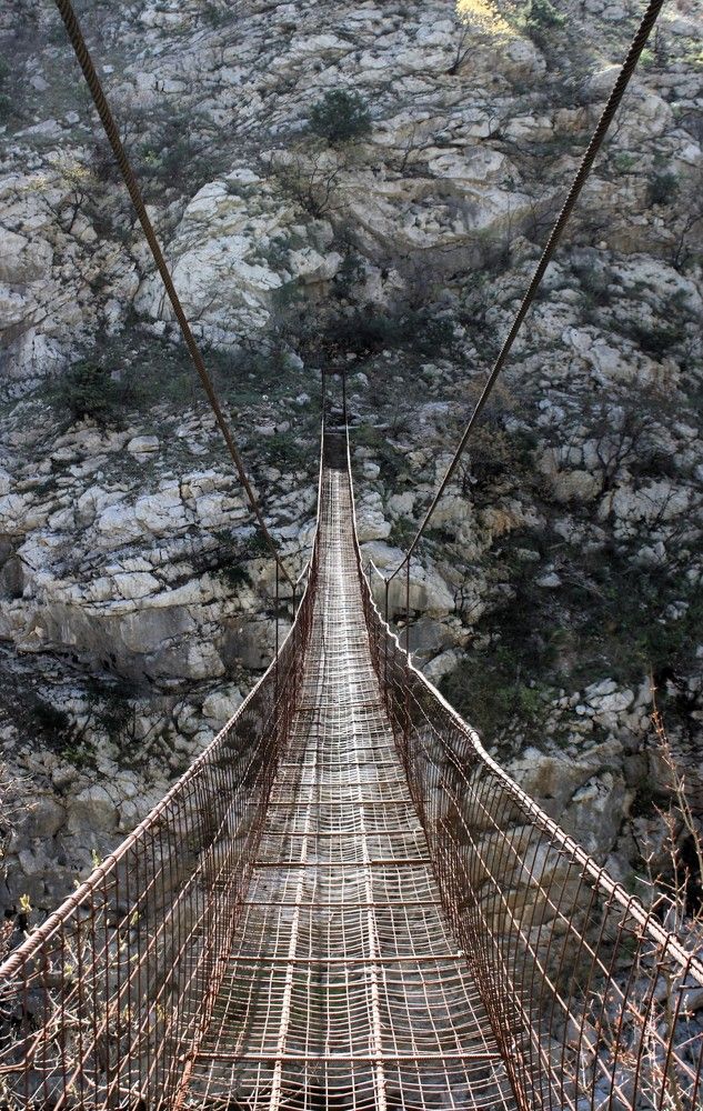 Фотография автора caroline martin (dony)