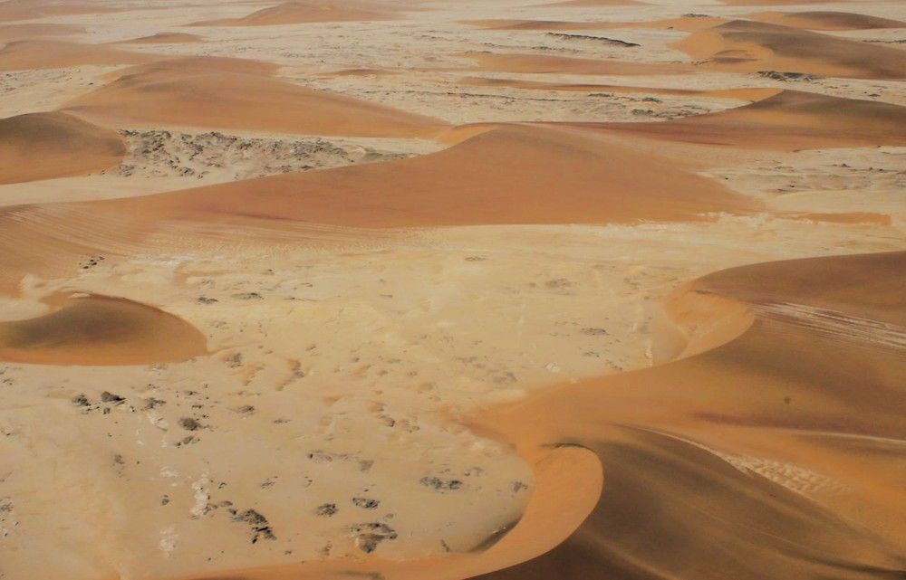 Фотография автора caroline martin (dony)