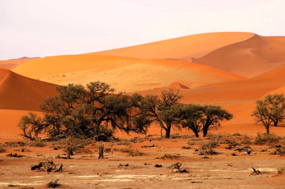 Фотография автора caroline martin (dony)