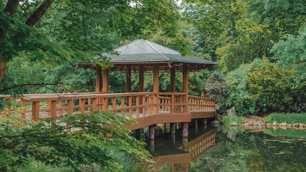 Photograph by Ирина Протченко