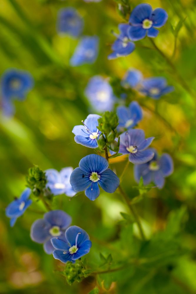 Photograph by Елена Мирзоева