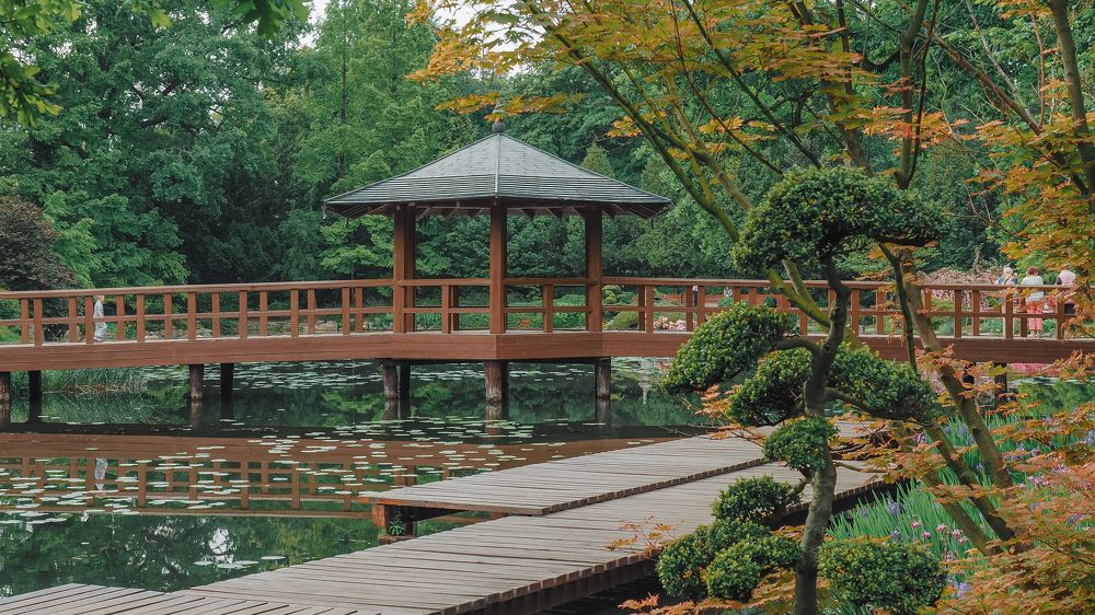 Photograph by Ирина Протченко