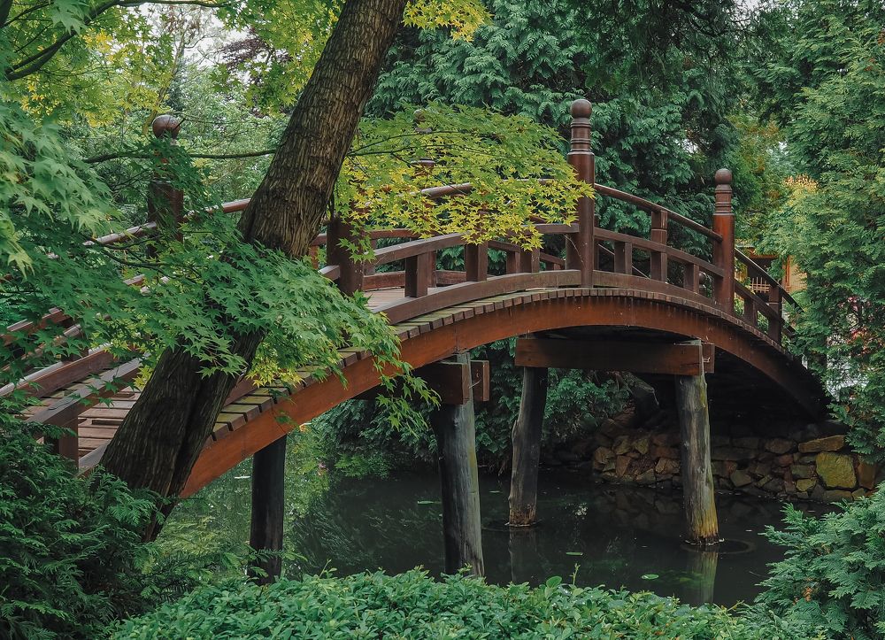 Photograph by Ирина Протченко