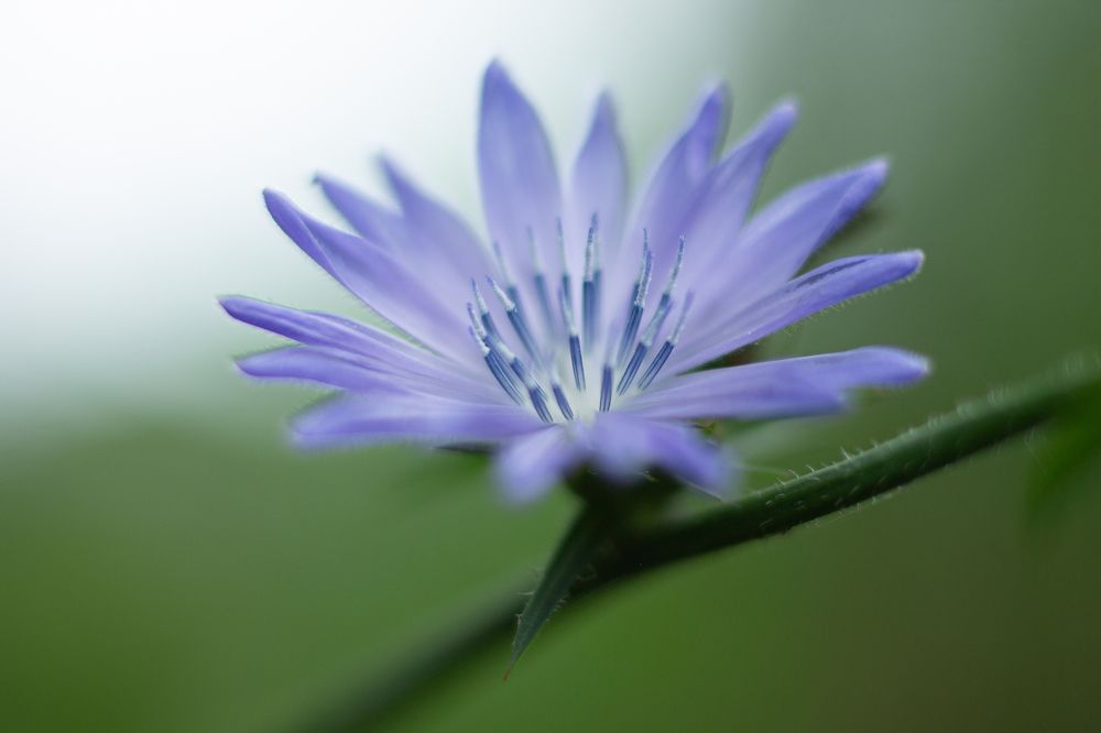 Photograph by Дарья Улюсова