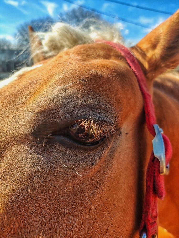 Photograph by Ирина Горбач