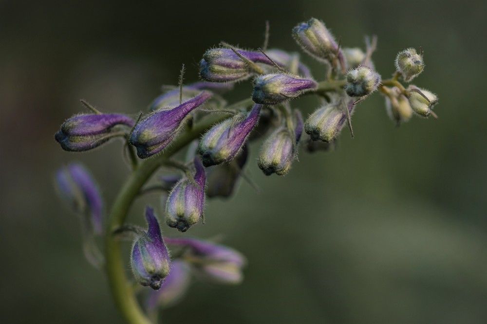 Фотография автора Юрий Кульмяков