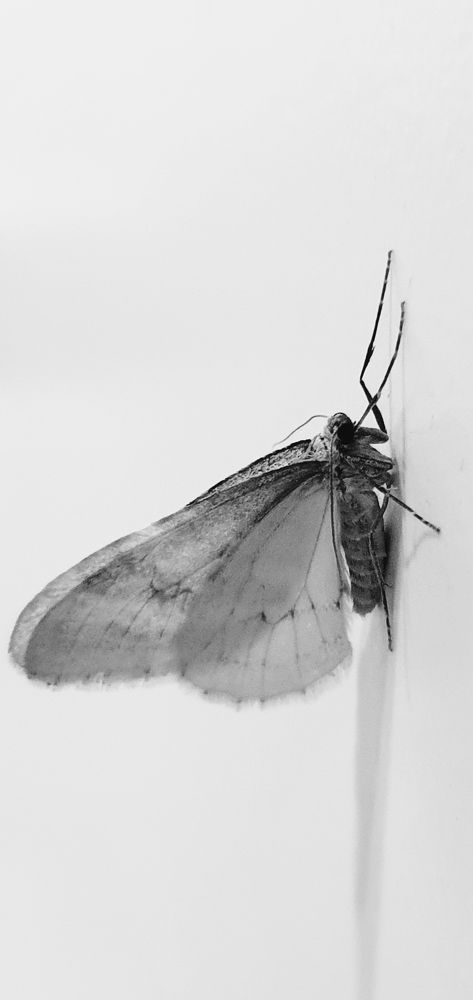 Photograph by Оксана Бессчетнова