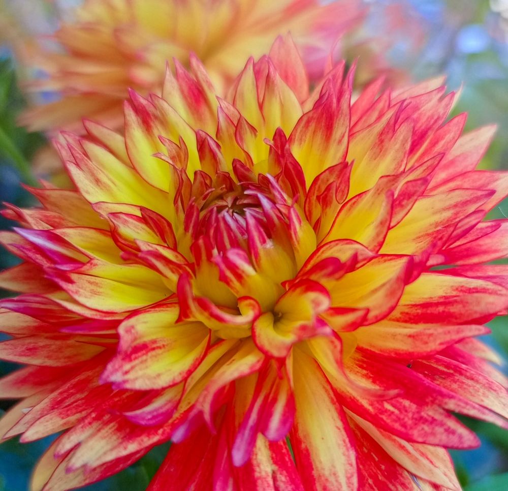 Фотография автора Юлиана Чудакова