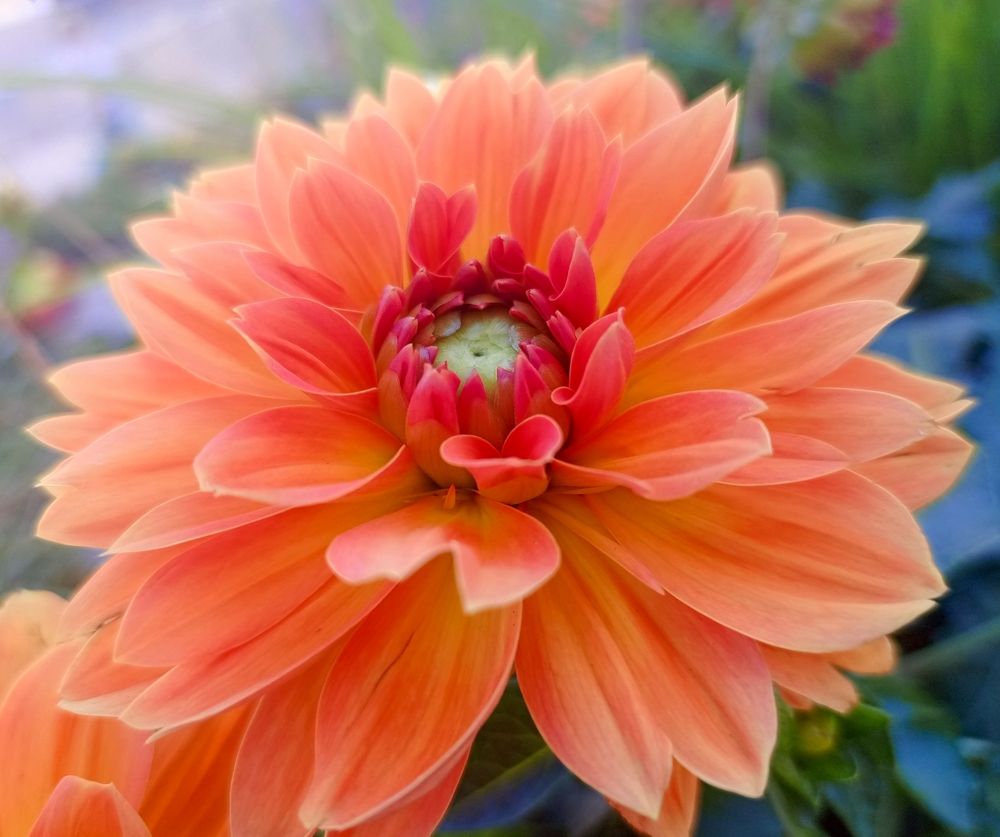 Фотография автора Юлиана Чудакова