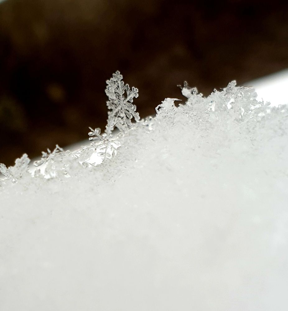 Photograph by Оксана Бессчетнова