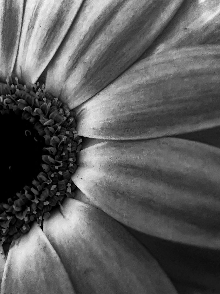 Photograph by Жанар Джумабекова