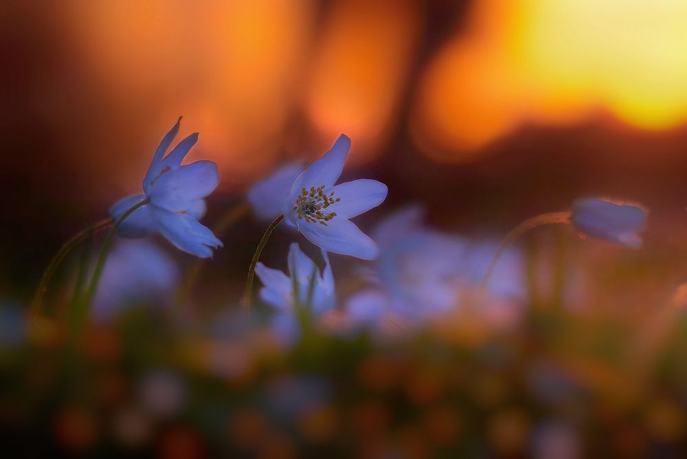 Photograph by Владимир