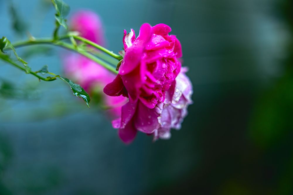 Photograph by Вячеслав Ват