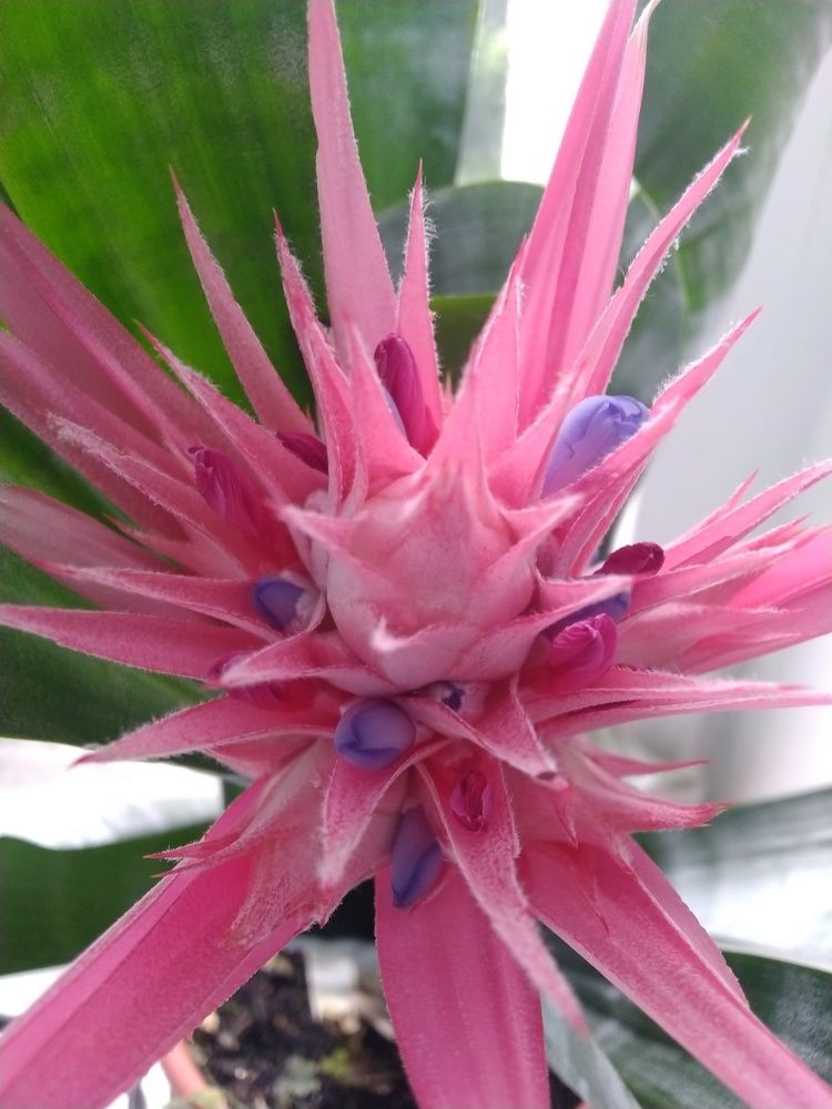 Photograph by Наталья Шулятина