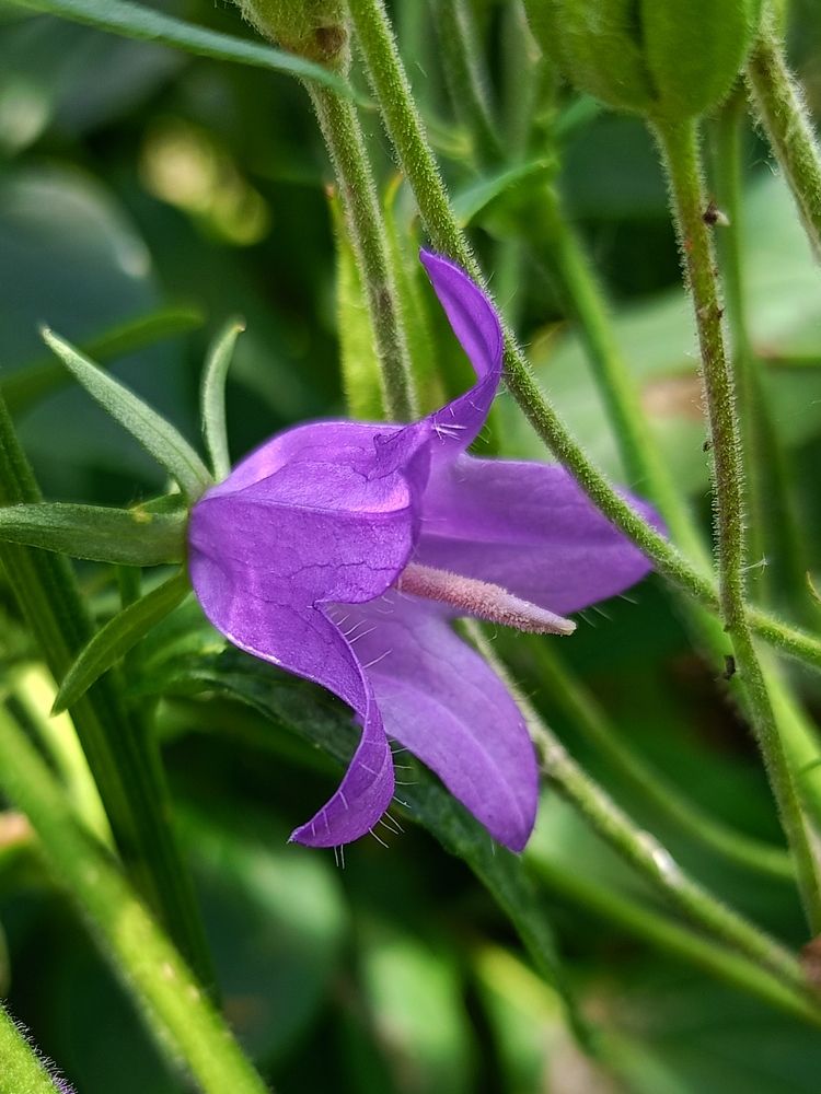 Photograph by Елена