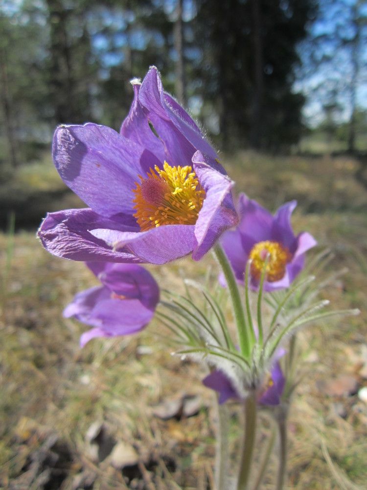 Photograph by Марина Кузьмина
