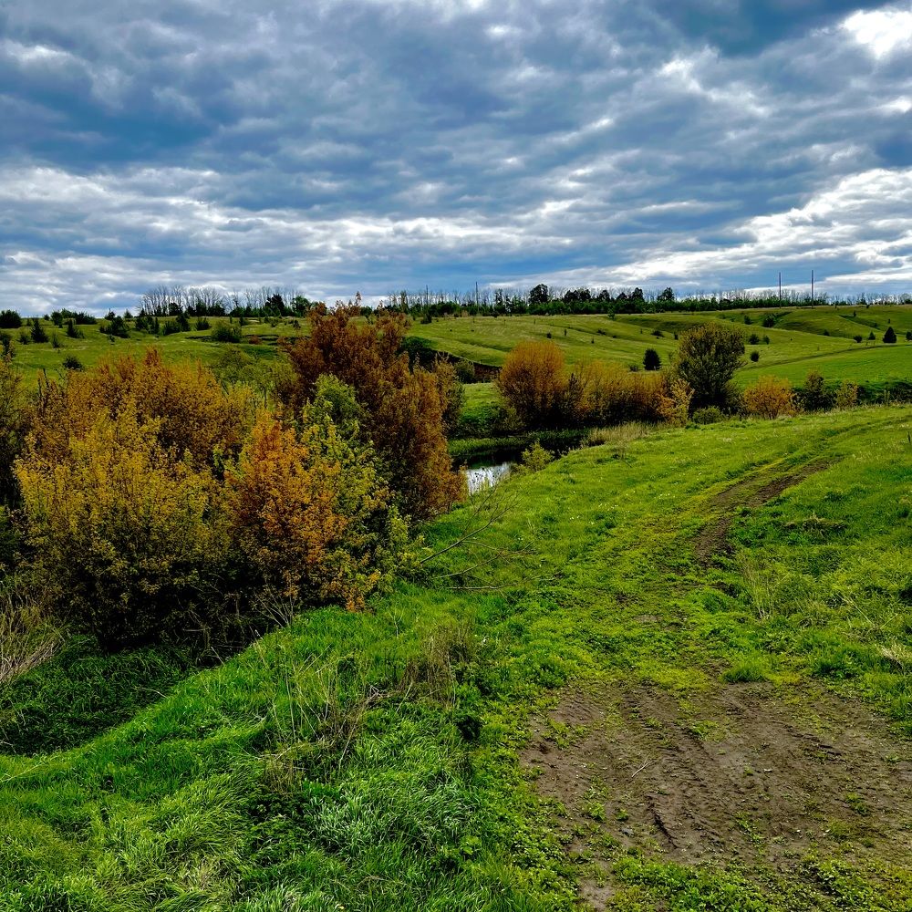 Photograph by Марина Козлова