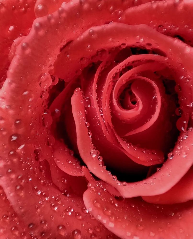 Photograph by Татьяна Радченко