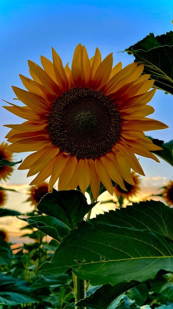 Photograph by Марина Козлова