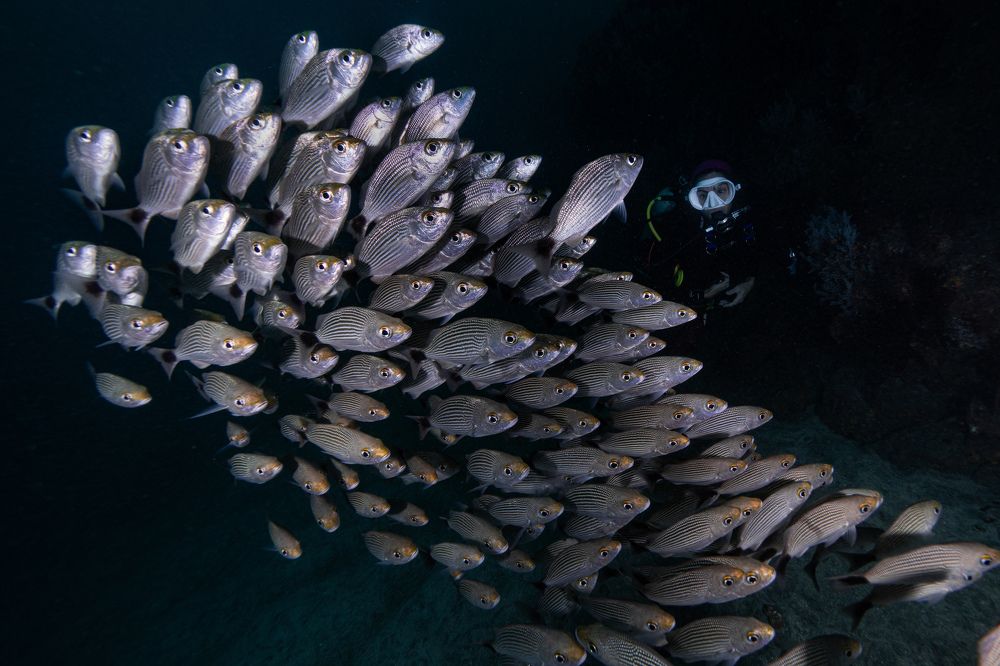 Photograph by Santiago Estrada R