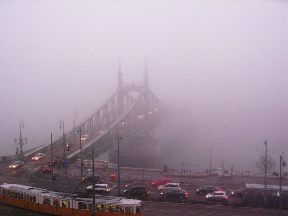 Photograph by Светлана Стрыгина