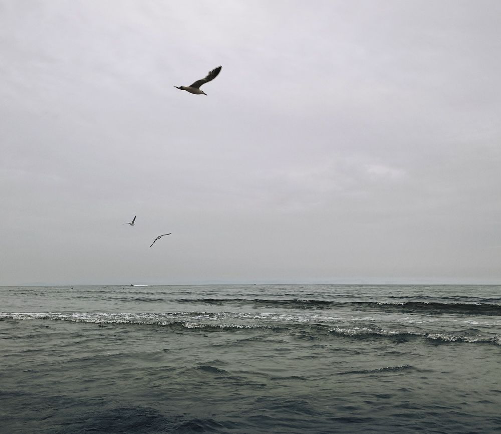 Photograph by Лариса Абрамова