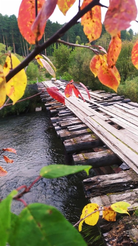 Photograph by Татьяна Лихачева