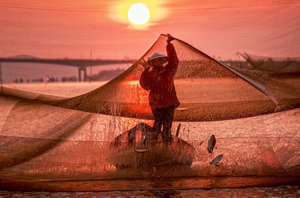 Photograph by Hanh P. T. Pham