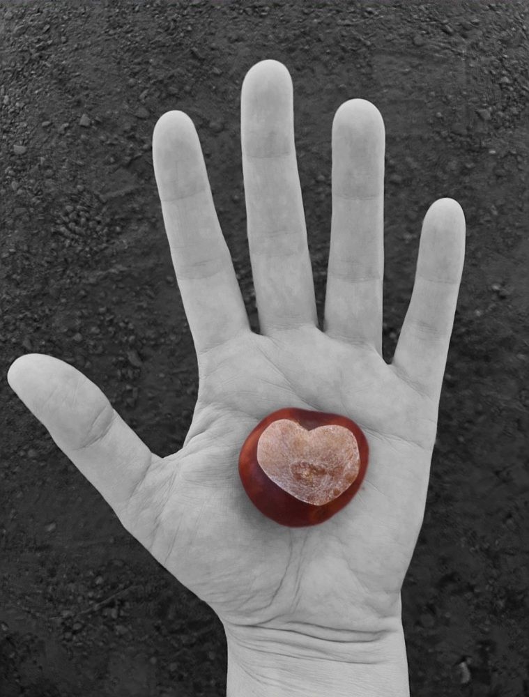 Photograph by Оксана Бессчетнова