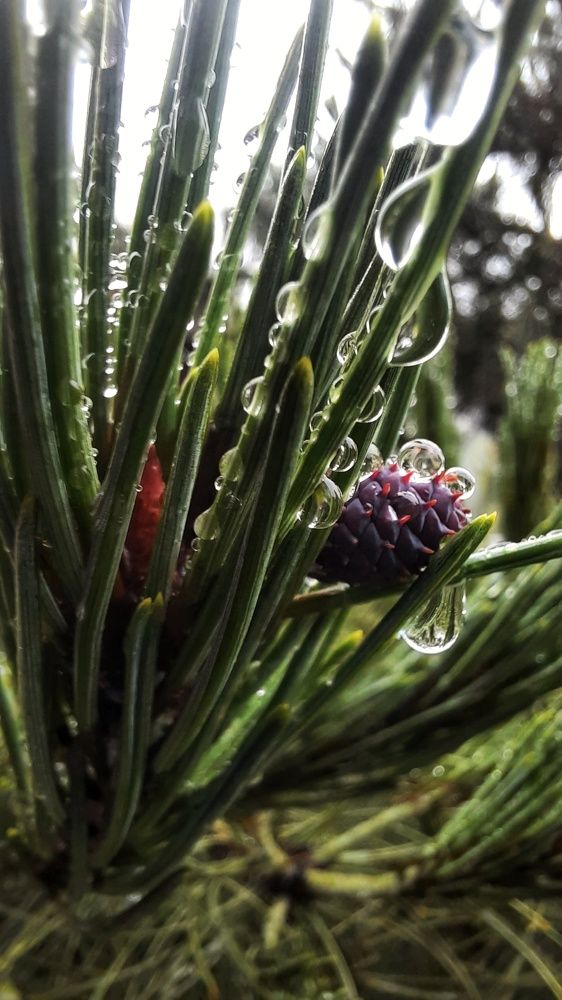 Photograph by Ольга Фомина