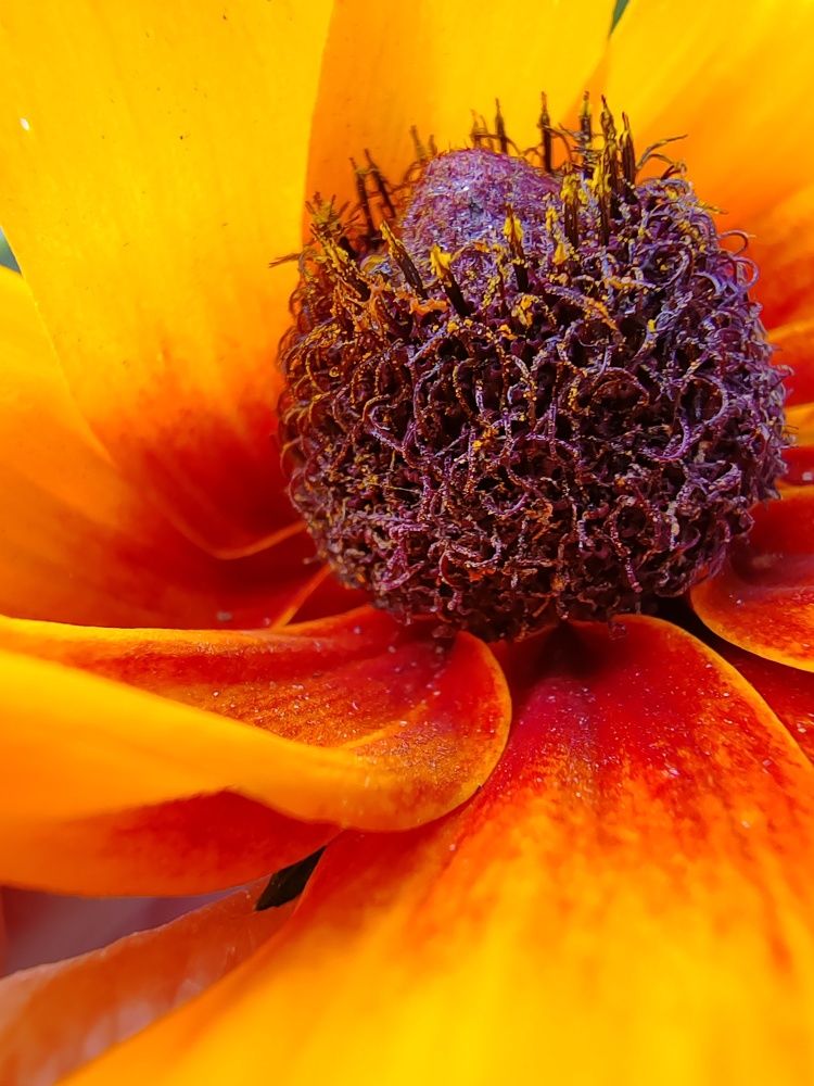 Фотография автора Татьяна Егорова