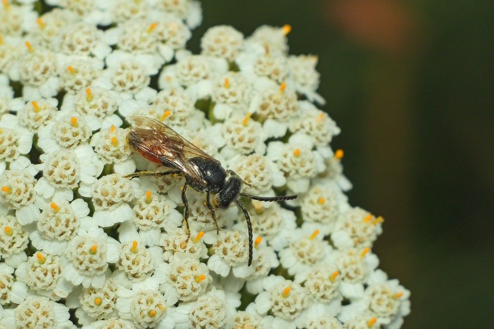 Фотография автора Геннадий Титов