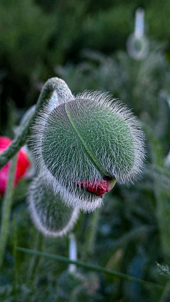 Фотография автора Наталья Тургулайнен