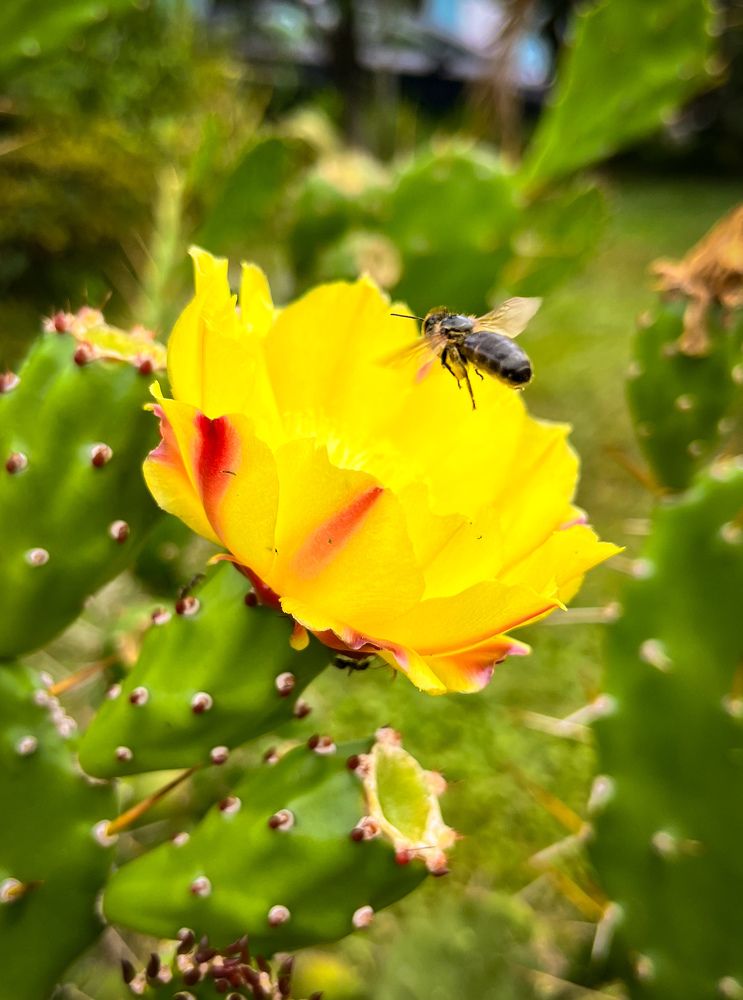 Photograph by Siarhei Saladukhin