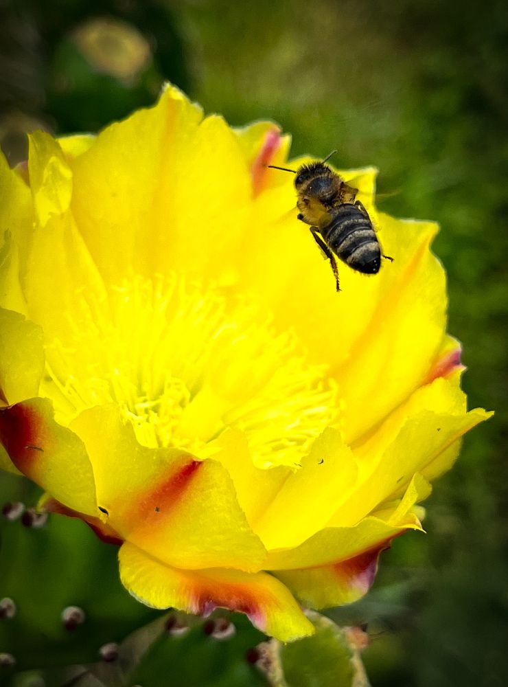 Photograph by Siarhei Saladukhin